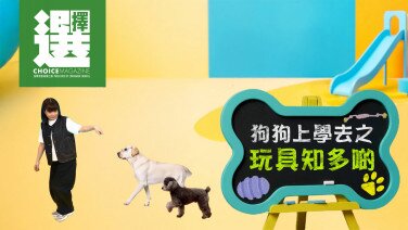 【今期《選擇》免費睇 | 狗狗上學去之玩具知多啲】