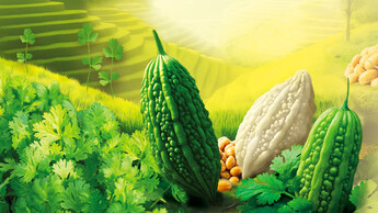 苦瓜 纳豆 芫茜 常被人嫌弃？ 原来好「有营」