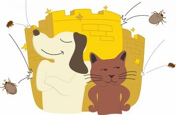 寵物除蚤滴劑標示欠清晰　錯誤使用可致嚴重後果