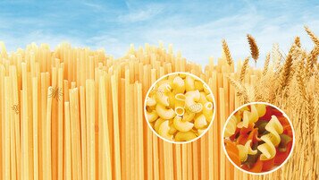 Mycotoxins, Pesticides or Various Foreign Matter Detected  in 35 Samples of Dried Pasta Manufacturers Should Strengthen Production Process  for Better Product Hygiene and Safety