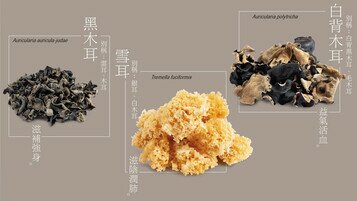 Dried Edible Fungi Rich in Dietary Fibre but Not a Major Source of Collagen  Soak with Care Before Cooking to Avoid Risk of  Bongkrekic Acid Poisoning