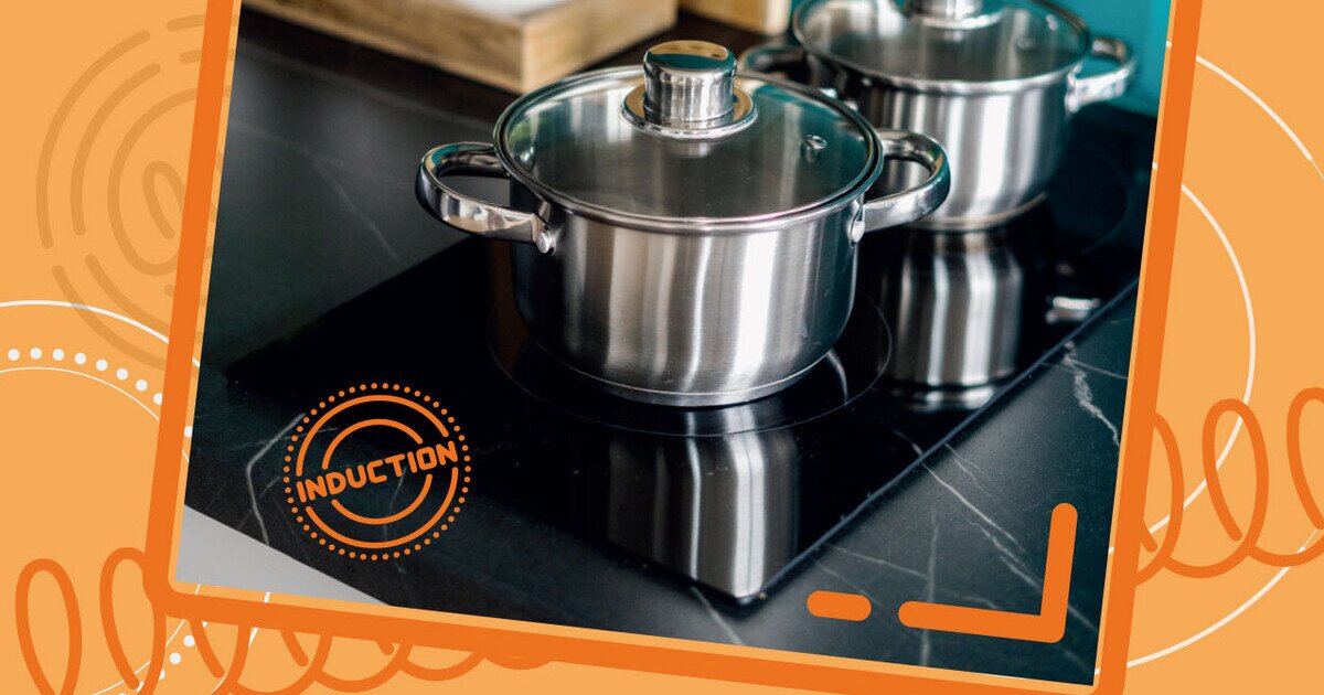 13 Models of Doublehob / Flexi Zone Induction Cookers Varied Greatly