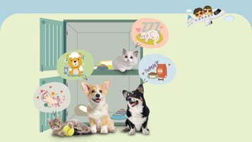 Low Price Transparency and Disparate Costs for Pet Hotels Mandatory Listing of Licensed Operators Urged to Protect Animal Rights