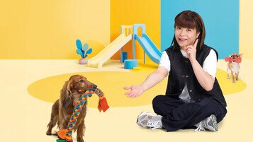 逾9成狗玩具样本化学安全程度理想 1款三价铬迁移量高于儿童玩具安全标准　促厂商改善保宠物健康