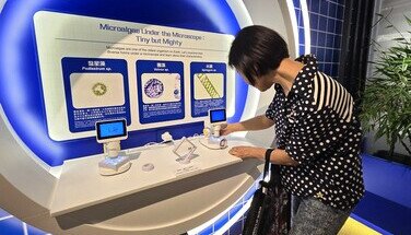 參觀領展可持續未來館—「再生地球 – 解構循環經濟」及工作坊  2024.10