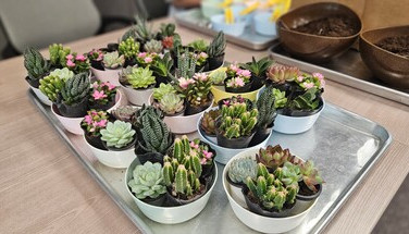 活動花絮 : 秋季培訓講座（2025年9至10月）