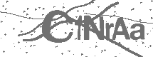 驗證碼圖像